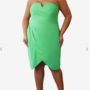 NWT Strapless Bustier Tulip Dress